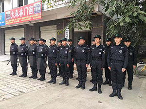 案例展示
